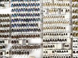 a lot of beetles that are on display on the wall