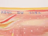 a painting of a sailboat on the water with the words frix du ciel written on it
