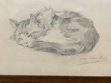 drawing of a cat curled up asleep in a wooden frame