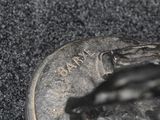 a close up of a coin with a small lizard on it ' s back