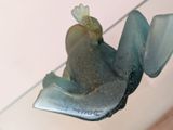 a glass sculpture of a bird with a flower on it