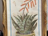 une photo d'une plante en pot posée sur une table