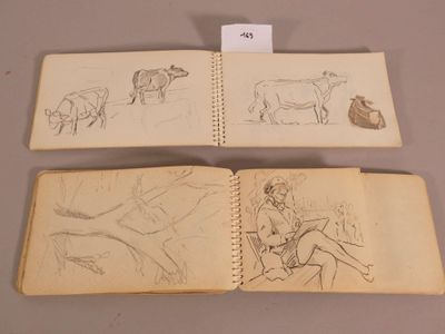 two open books with drawings of animals on them on a table