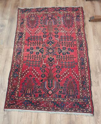 Tapis en laine à fond à décor de végétaux stylisé