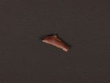 a small piece of wood that has been placed on a black surface
