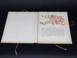 an open book with a drawing of a dragon on it