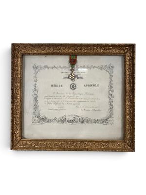 une photo encadrée représentant une médaille, exposée dans un cadre doré