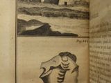 a picture of an open book with a picture of a skeleton on it