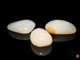 three white oplites sitting on top of a black surface