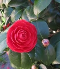 Destockage & Invendus