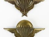 two military badges with wings and a star on a white background