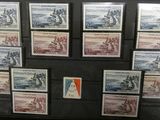 une vitrine sur laquelle sont exposés de nombreux timbres
