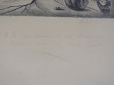 Photo 13/14 du lot