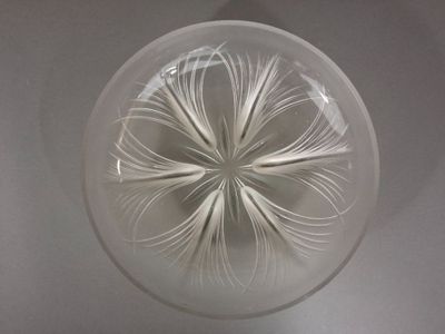 un vase en verre contenant une fleur blanche