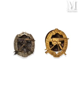 two badges of the army of the united states and the united states