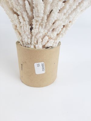 a plant that is sitting in a cup on a table