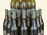 Des bouteilles de vin sont alignées sur un fond blanc