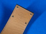 brown leather belt with rivets on a blue background