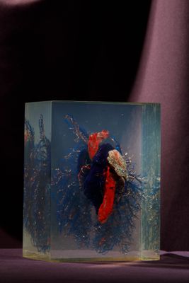 un bocal en verre contenant un poisson rouge et bleu