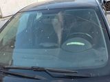 a dog sitting in the driver ' s seat of a car
