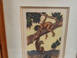framed picture of a monkey on a tree branch with a monkey sitting on a branch