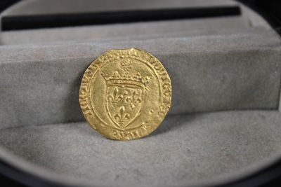 l'image d'une pièce d'or surmontée d'une couronne