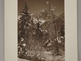 an old black and white photo of a snowy landscape with trees