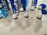 a lot of shuttles that are sitting on a table