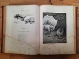 an open book on a wooden table with a picture of animals