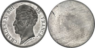 a close up of a coin on a white background