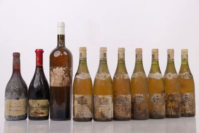 plusieurs bouteilles de vin sont alignées sur une table