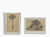 two framed pictures of a giraffe and a tree on the wall