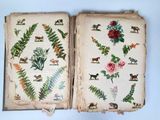 two open books with flowers and animals on them