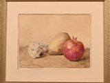 painting of a still life of a pomegranate and garlic