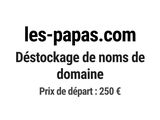 Photo 1/1 du lot