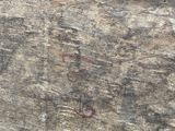 a cat that is sitting on a rock with graffiti on it
