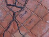 a wire that has been tangled up on the ground