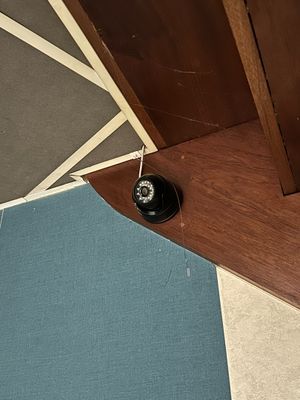 an image of a cat sitting on the floor in front of a door