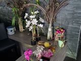 several vases of flowers are sitting on a table in a room