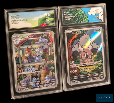 trois cartes Pokémon exposées dans un étui en plastique