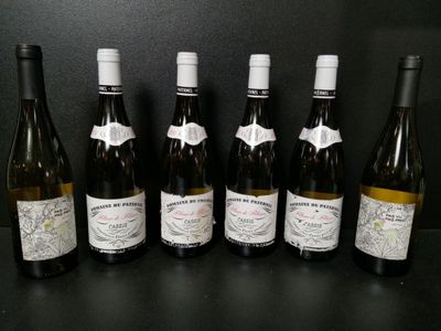 Lot de 6 bouteilles de vin blanc : 4 Domaine du Paternel Cas… - Photo 1