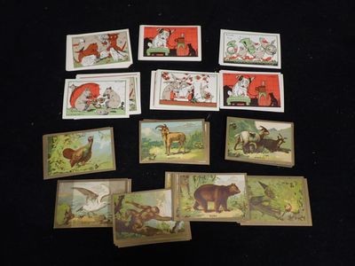 beaucoup de cartes représentant des animaux, posées sur une table