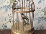 a bird in a cage sitting on a wooden table