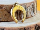 a close up of a gold horseshoe charm on a tree stump