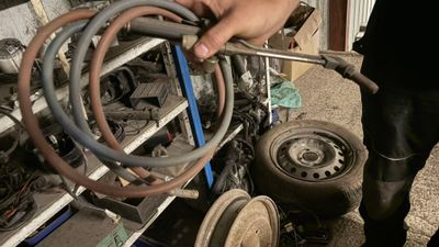 un homme qui tient un roitelet dans la main