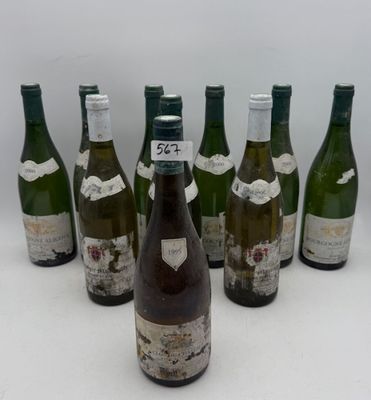 six bouteilles de vin sont alignées sur une surface blanche