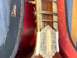 a close up of a musical instrument in a case