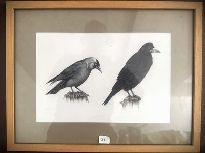 two black birds sitting on top of a wooden table next to each other