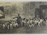 un homme debout devant un groupe de chiens