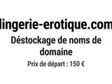 Photo 1/1 du lot